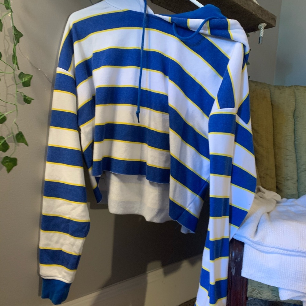 Zumiez cropped striped hoodie
